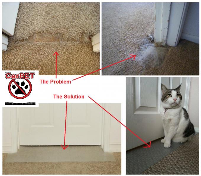 AntiScratch Deterrent Barrier Cat / Pet Adhesive Training Tape
